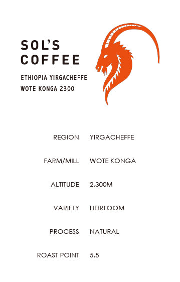 ETHIOPIA YIRGACHEFFE WOTE KONGA 2300(エチオピア イルガチェフェ ウォテコンガ2300)